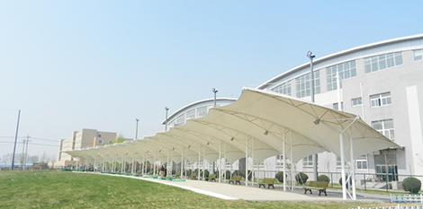 高爾夫打臺膜結構